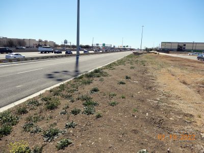 Work on the future southbound I-35W frontage road south of Western Center Blvd.